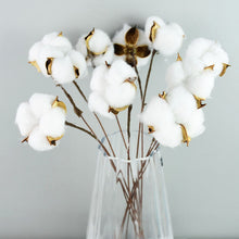 Load image into Gallery viewer, Dried Cotton Decor
