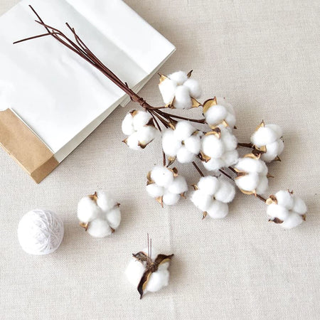 Dried Cotton Decor