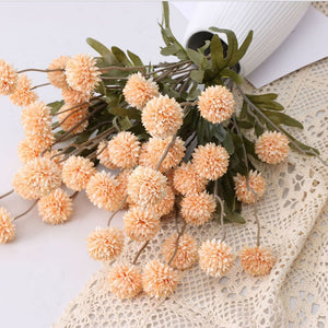 Dandelion Flower