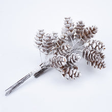Load image into Gallery viewer, Dusted In Snow Pine Cone Decor
