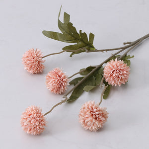 Dandelion Flower