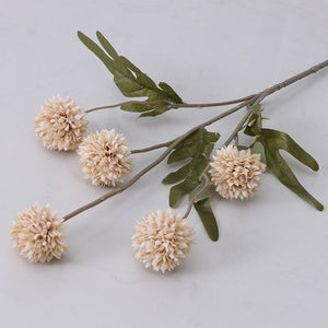 Dandelion Flower