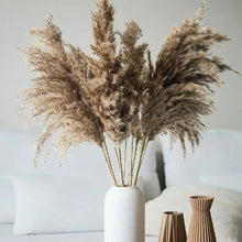 Load image into Gallery viewer, Dried Pampas Grass
