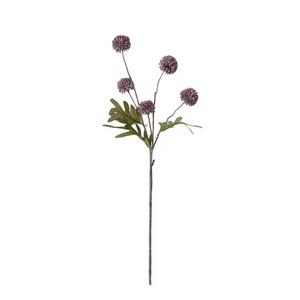 Dandelion Flower