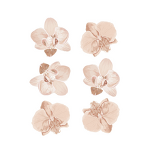 Load image into Gallery viewer, Neutral Floral Love Wall Sticker

