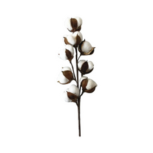 Load image into Gallery viewer, Dried Cotton Decor
