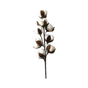 Dried Cotton Decor